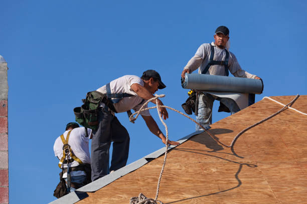 Best Storm Damage Roof Repair  in Whitehall, OH