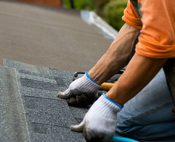 Best Storm Damage Roof Repair  in Whitehall, OH